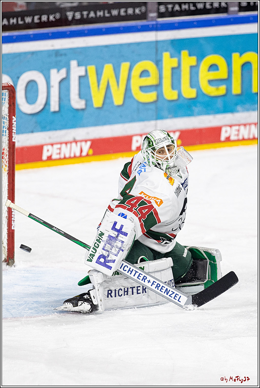 PENNY DEL;  Kölner Haie - Augsburger Panther; Köln, 20.12.2022